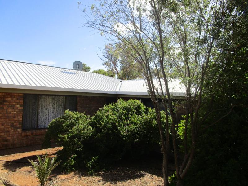 19 HARDWICK ST BARMERA<BR>SA 5345