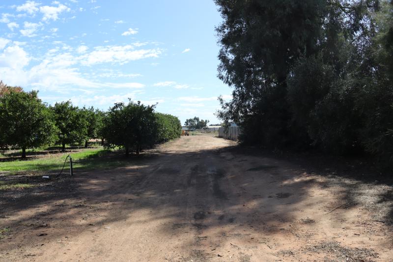 LOT 7 RENMARK AVENUE RENMARK SOUTH<BR>SA 5341