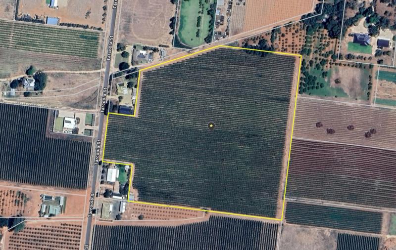 LOT 24 TARCOOLA STREET
RENMARK WEST SA 5341, Renmark West - Thumbnail 4