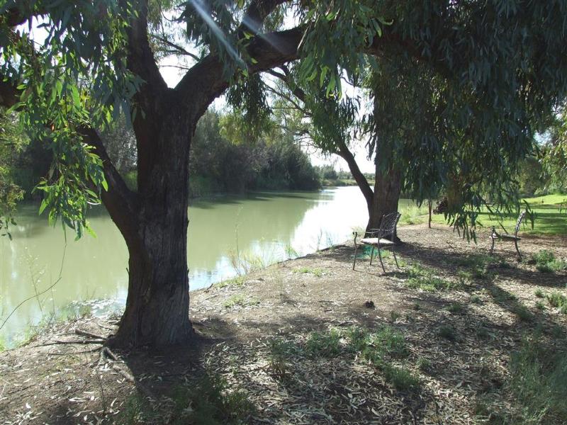 19 MEANDER AVE RENMARK<BR>SA 5341