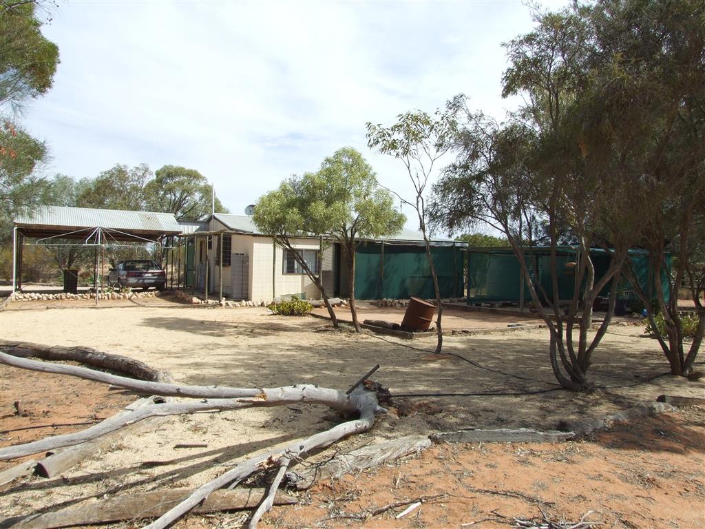 61 SWAN ST CHAFFEY VIA RENMARK<BR>SA 5341